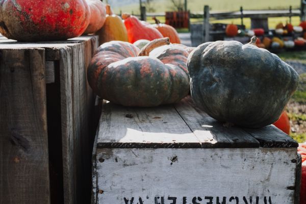 Farm stand and vineyard on Salt Spring Island in the Gulf Islands, British Columbia