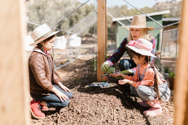 Children at a Salt Spring Island farm stand