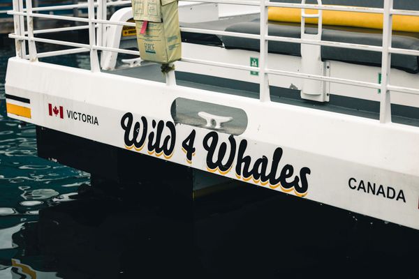 Private boat in the outer waters of Clayoquot Sound near Tofino