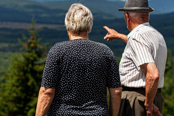 Short guided walk on firm ground with long views in the Canadian Rockies