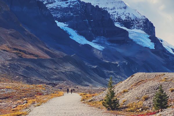 Guided walk toward the Athabasca Glacier on the Icefields Parkway