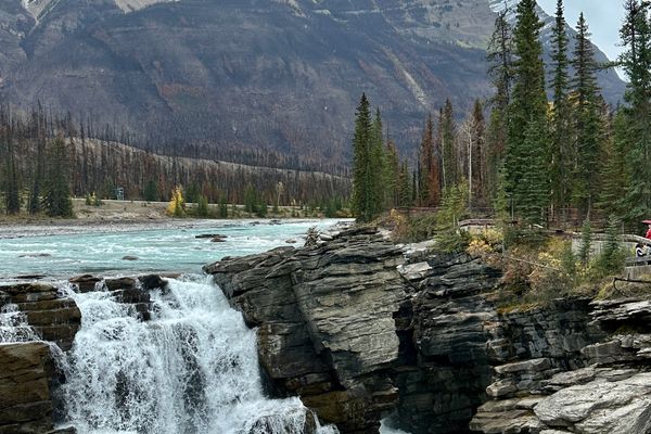 Athabasca Falls in early summer on the Icefields Parkway