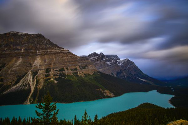 Peyto Lake from the Bow Summit viewpoint in July