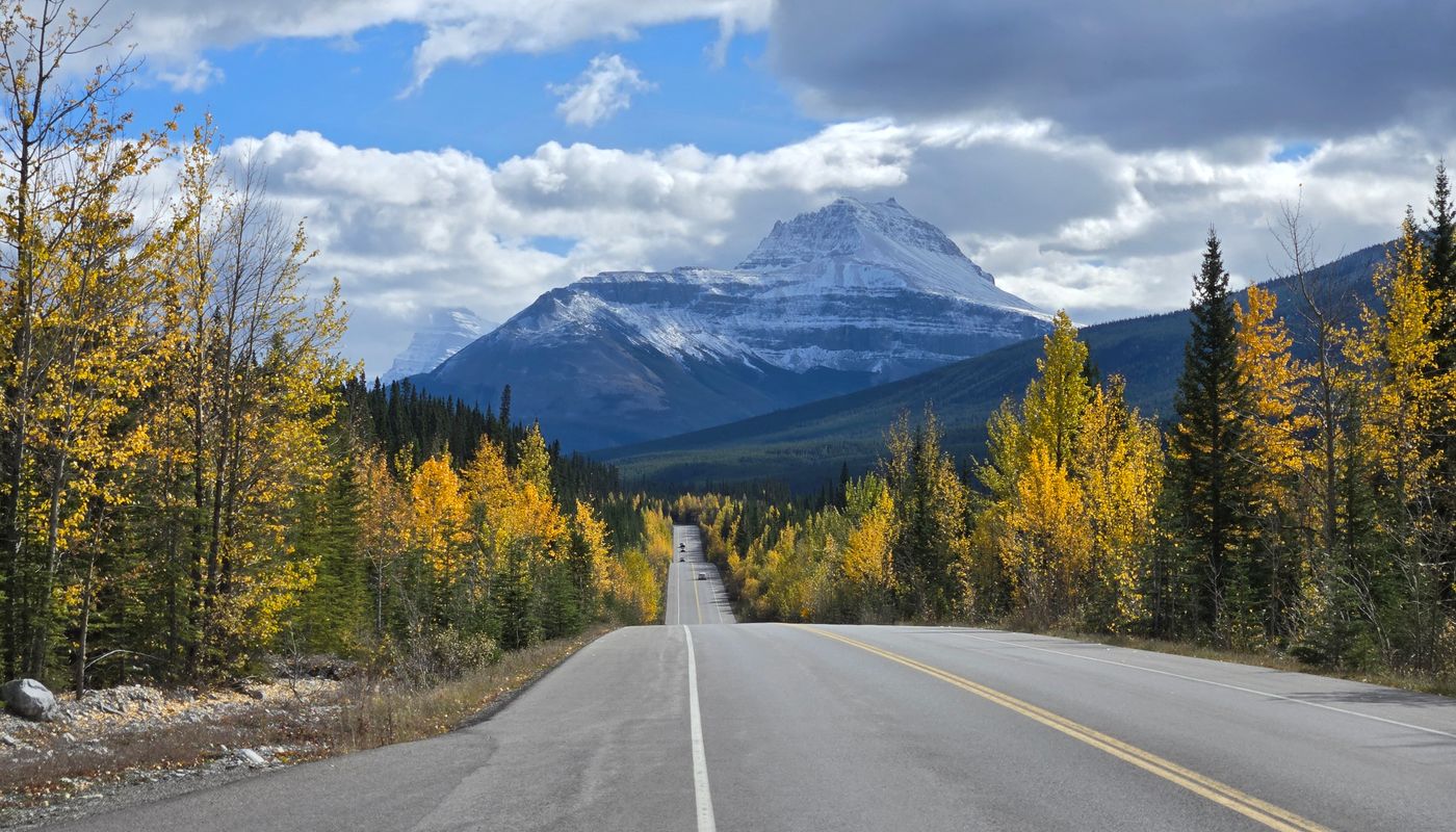 The Icefields Parkway in autumn with golden larches and a glacier ahead