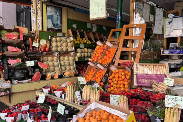 Market stalls under the trees in Centennial Park, Ganges, on Salt Spring Island