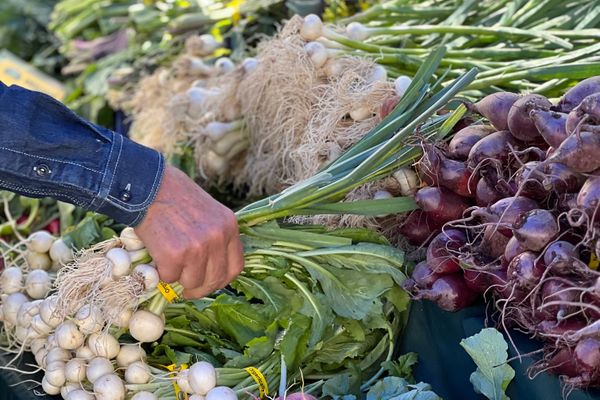 A produce stall at the Salt Spring market with island vegetables
