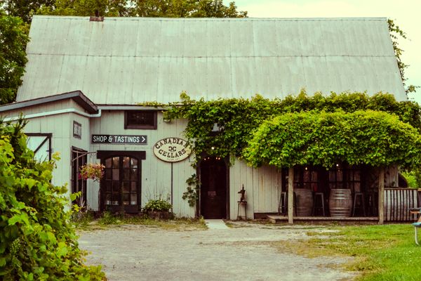 Private cellar tasting with a winemaker in Niagara-on-the-Lake