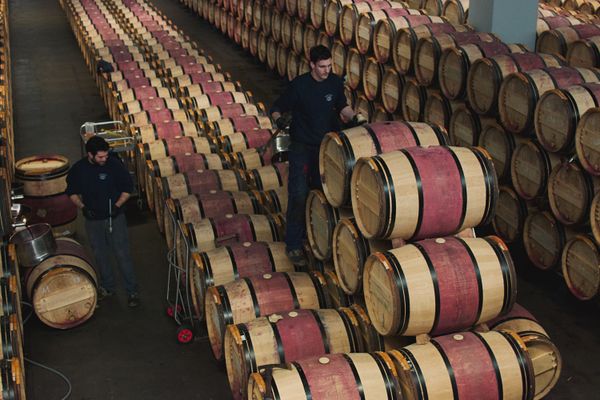 Wine barrels in a Niagara cellar