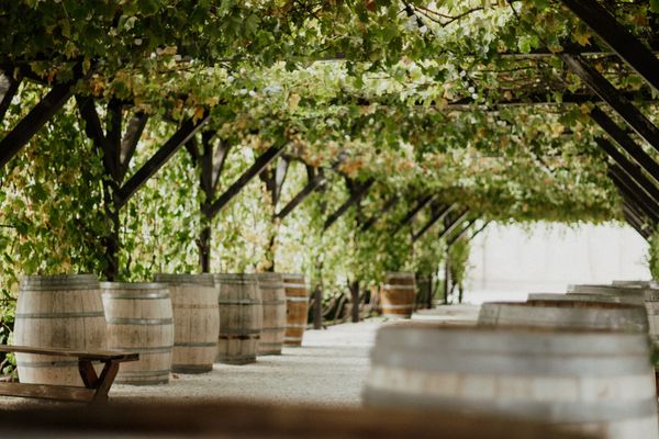 Winery visit with the winemaker in Prince Edward County wine country