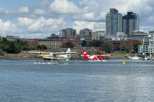 Floatplane landing on the water near Salt Spring Island