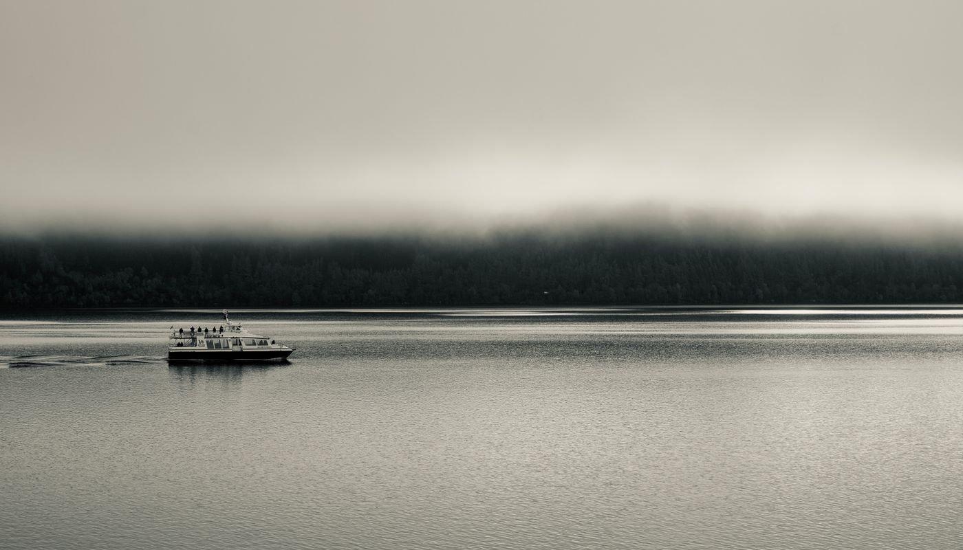 Clayoquot Sound private boat tour passing a forested island on the Tofino coast