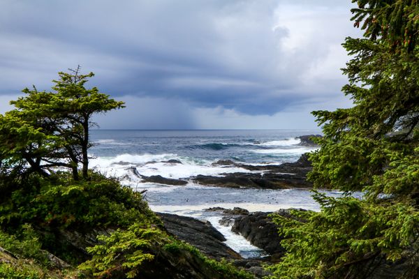 Winter storm watching on the Pacific Rim coast near Tofino